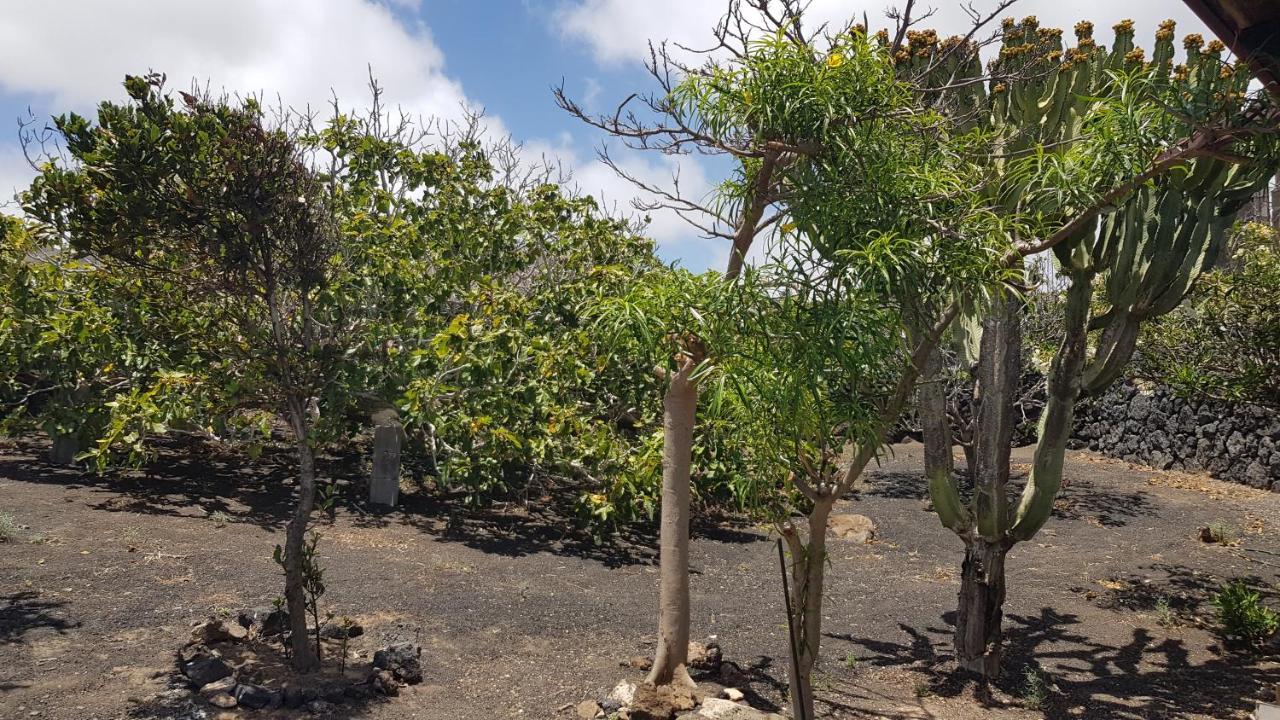 Finca Relax, Sea View, Oasis Vasiliko, La Asomada 蒂亚斯 外观 照片
