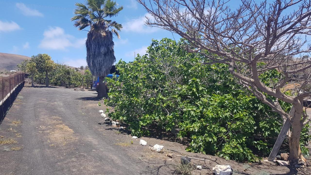 Finca Relax, Sea View, Oasis Vasiliko, La Asomada 蒂亚斯 外观 照片