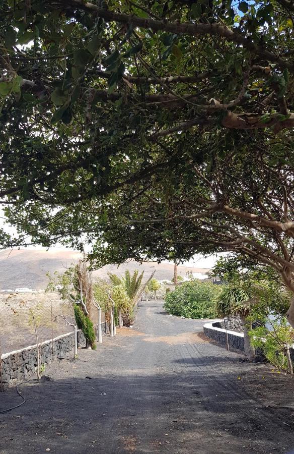 Finca Relax, Sea View, Oasis Vasiliko, La Asomada 蒂亚斯 外观 照片