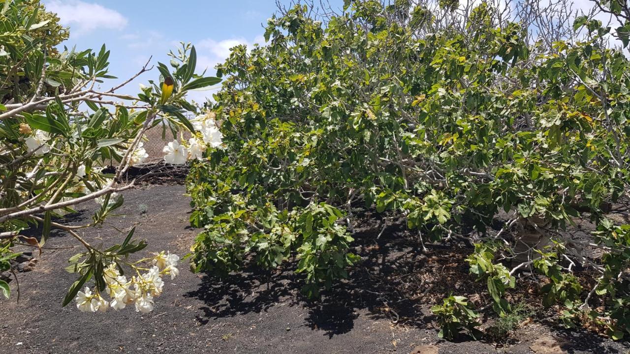 Finca Relax, Sea View, Oasis Vasiliko, La Asomada 蒂亚斯 外观 照片