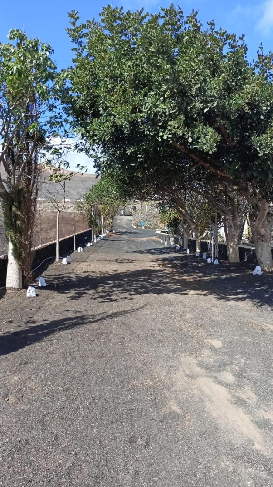 Finca Relax, Sea View, Oasis Vasiliko, La Asomada 蒂亚斯 外观 照片